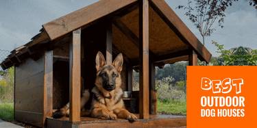 https://petsaw.com/best-outdoor-dog-houses/ thumb