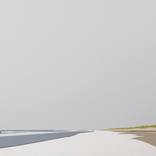 Island life: The dog's perspective by Marten van Holten
