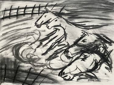 Original Expressionism Horse Drawings by Vikram Bhandari