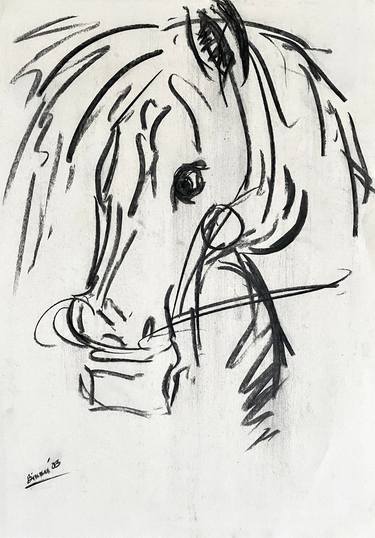 Original Expressionism Horse Drawings by Vikram Bhandari