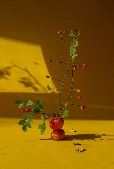 Rosehips and spikes thumb