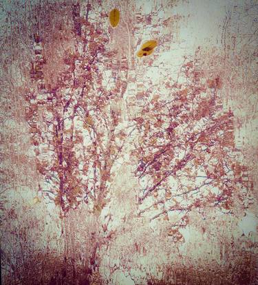 Original Abstract Expressionism Nature Photography by Kate Buggeln