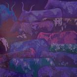 Purple Fields by Bharathi Dev