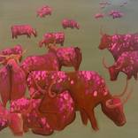 Strawberry Fields by Bharathi Dev