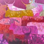 Pink Haven by Bharathi Dev