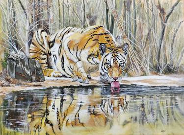 Original Animal Paintings by Vamsi Doddapaneni