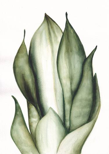 Original Illustration Botanic Paintings by Viktoryia Zhuleha