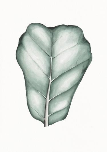 Lyrata Leaf thumb