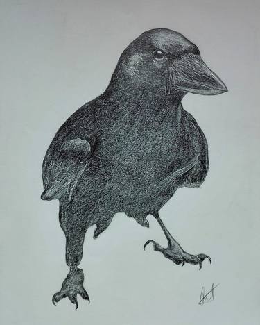 Print of Fine Art Animal Drawings by Goran Ristic