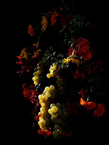 Original Fine Art Floral Photography by Goran Ristic