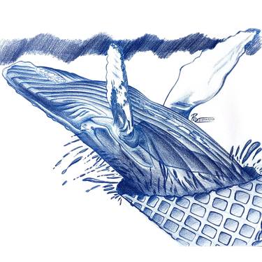 Original Fish Drawings by Prat Designs