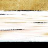 Collection Abstract