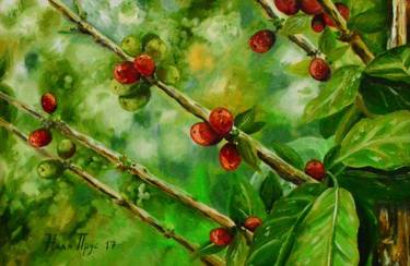 "Coffee-berries on a Coffee Tree" thumb