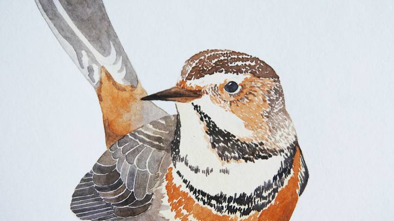 Original Illustration Animal Painting by Karina Danylchuk