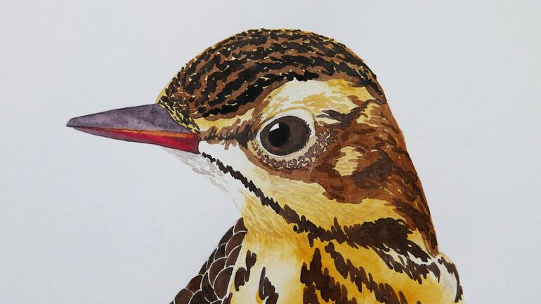 Original Impressionism Animal Painting by Karina Danylchuk