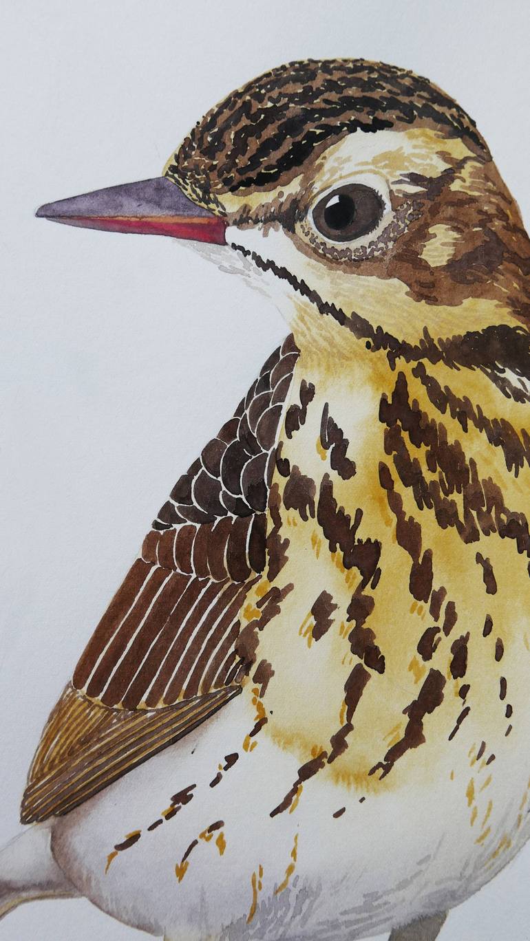 Original Impressionism Animal Painting by Karina Danylchuk