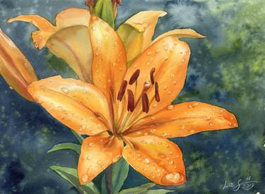 Orange Lilly after the rain  Crimea thumb