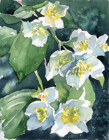 Print of Floral Paintings by Svitlana Lagutina