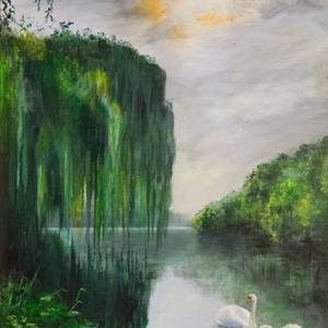 Swans