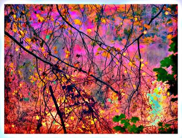 Original Impressionism Abstract Photography by Marc VanDermeer