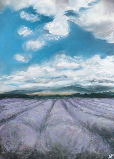 Lavender Fields of Provence thumb