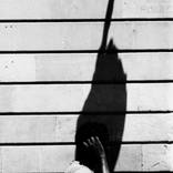 Collection Local Spotlight: Chicago