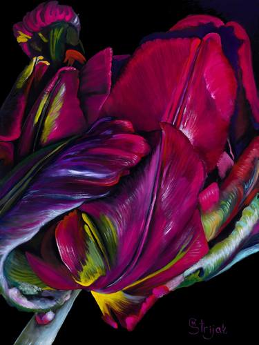 Print of Fine Art Floral Paintings by Marina Strijakova