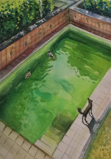 Original Water Paintings by Natalia Huber