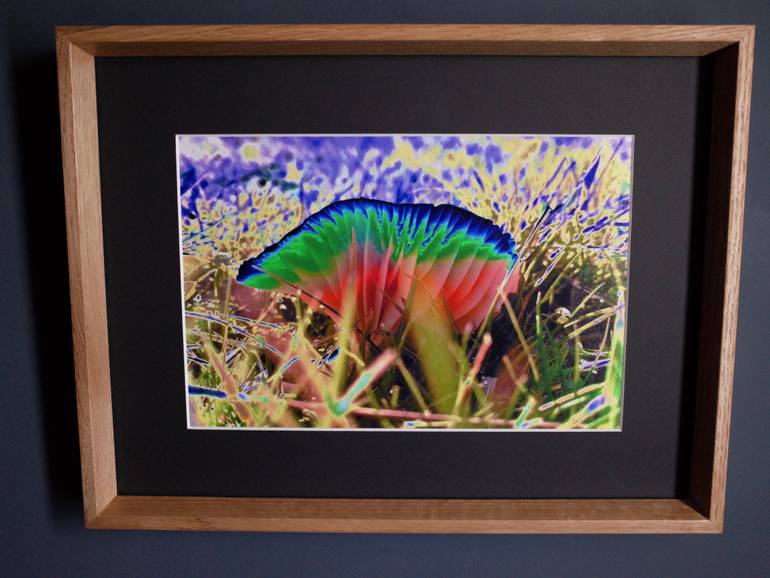 Original Abstract Expressionism Animal Photography by Awoken Eye