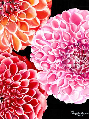 Endless Love : acrylic painting of beautiful dahlias of different hues on paper thumb
