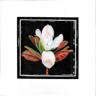 Magnolia 4: acrylic painting of a gorgeous white Magnolia flower thumb