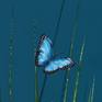 Oil painted butterfly