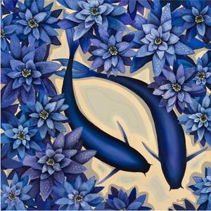 Collection Exteriority