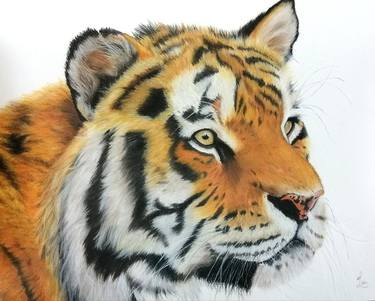 Tiger Originsl Pastel Painting thumb