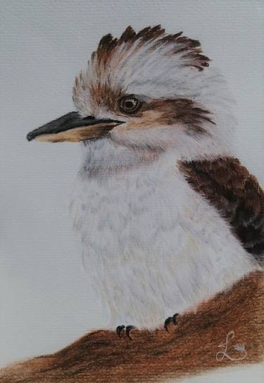 Kookaburra Original Hand-painted pastel Australian birds Native thumb