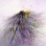 Collection Florals Inspired by Georgia O’Keeffe