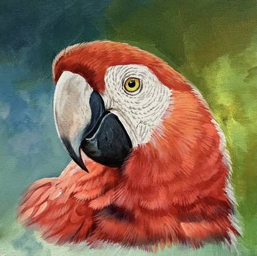 macaw painting