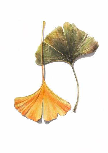 Print of Illustration Botanic Paintings by Nataliia Kupchyk