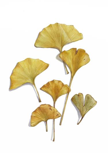 Ginkgo leaves. Watercolor on paper. 2022. thumb