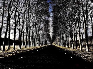 Original Expressionism Landscape Photography by Govert Mesman