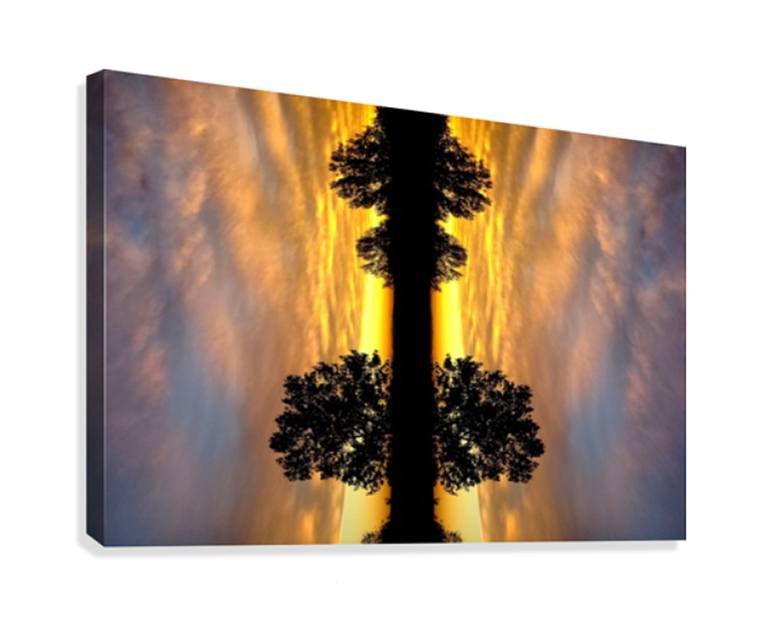 Original Abstract Botanic Photography by Carlos Manzcera