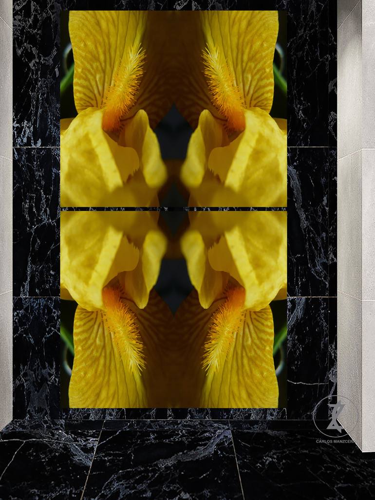 Original Modernism Abstract Photography by Carlos Manzcera