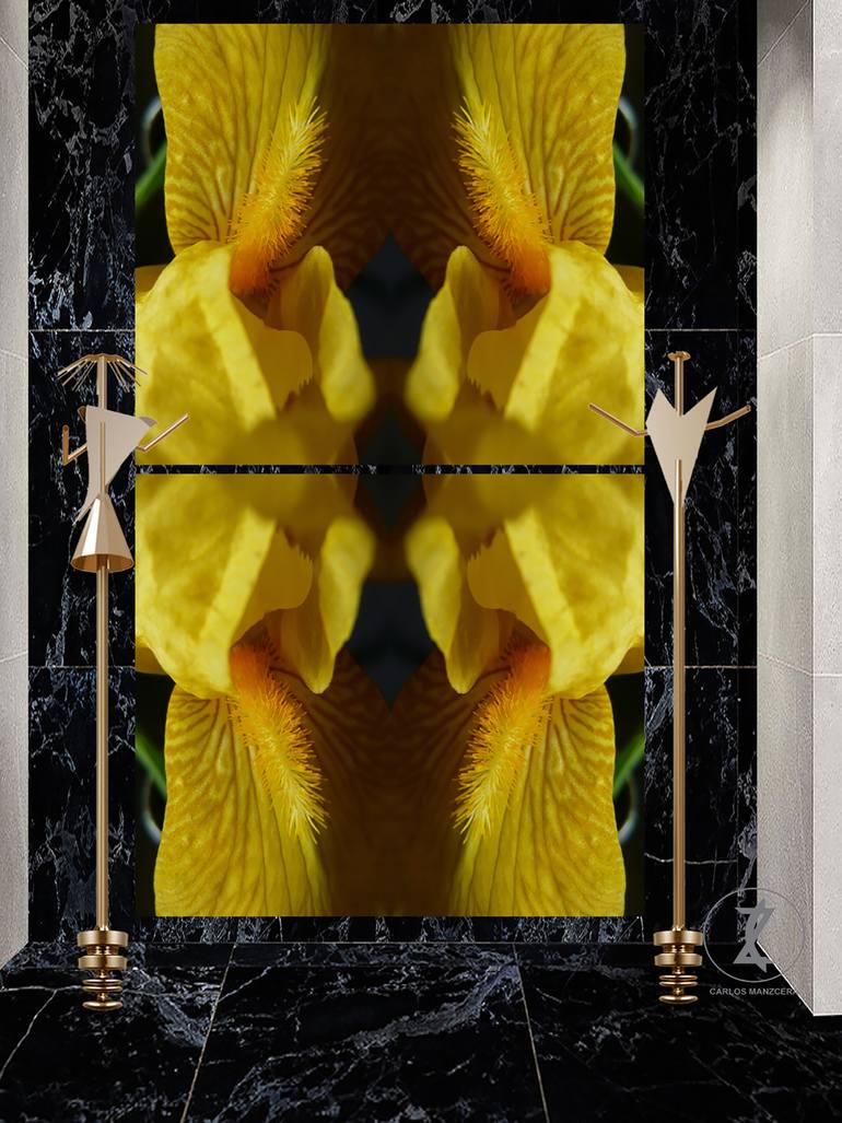 Original Modernism Abstract Photography by Carlos Manzcera