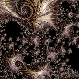 Collection Fun With Fractals