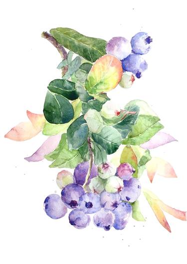 Blueberry watercolor thumb