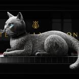 Cat Assisting the Composer at Work by Dent-de-Lion du Midi