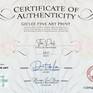 The Pool | Series One | Certificate of Authenticity