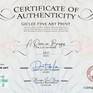 The Room in Bruges | Series One | Certificate of Authenticity