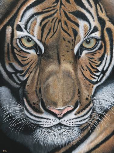 famous paintings of tigers