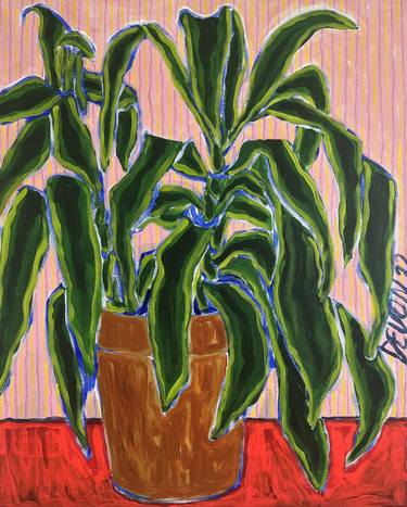 Potted Dracaena thumb